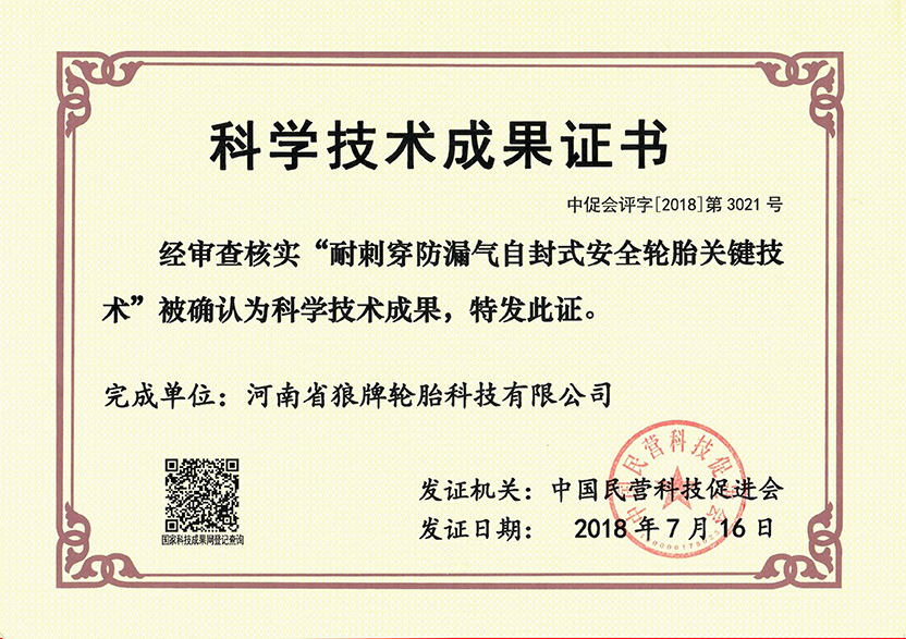 科學(xué)技術(shù)成果證書(shū)（小圖）.jpg